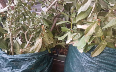 Abfallentsorgung ist systemrelevant!