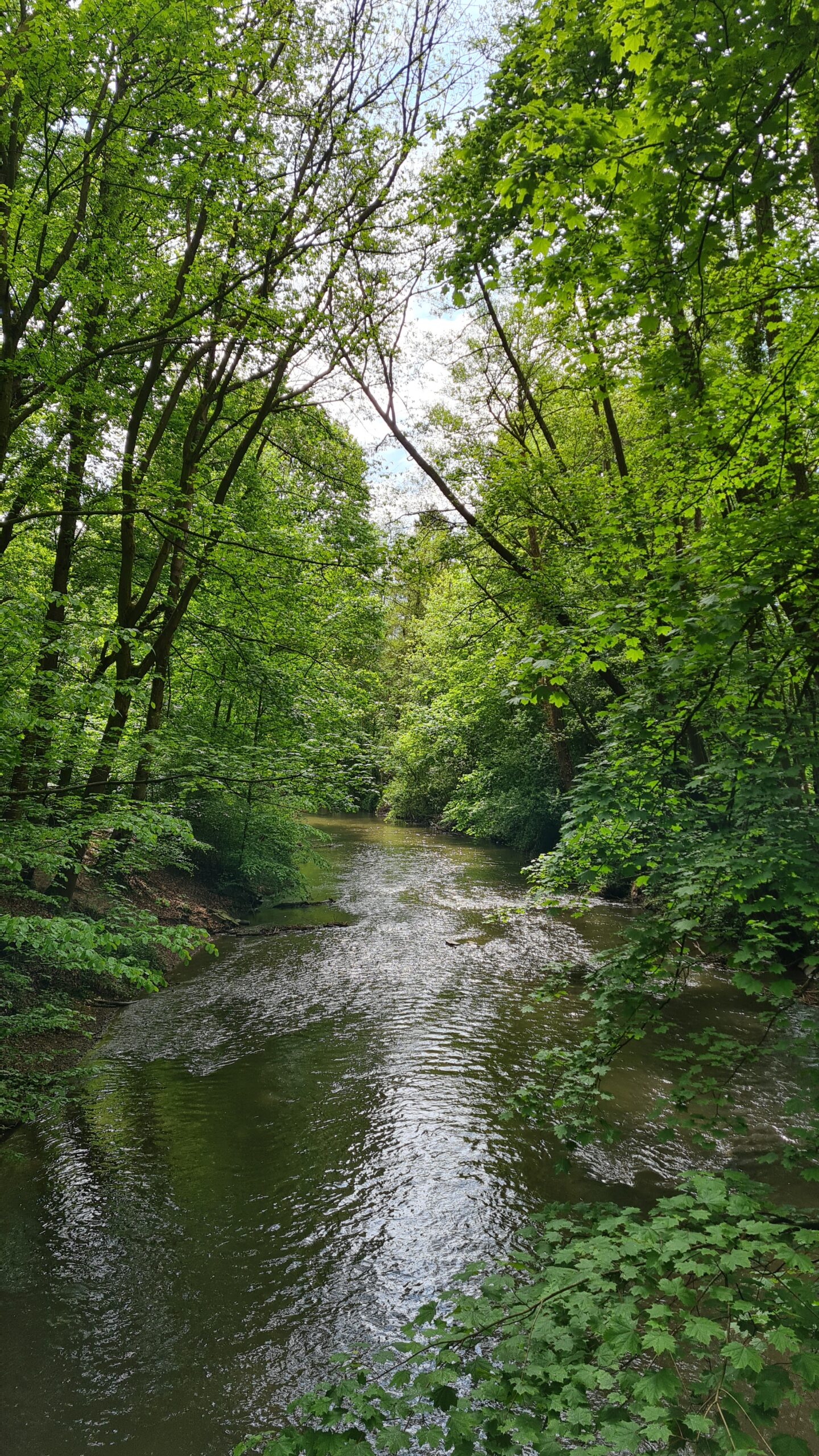 Foto – Steuerverschwenung BV III