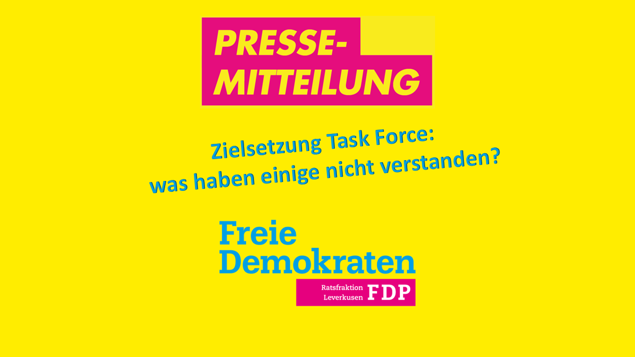 PM Bild Task Force