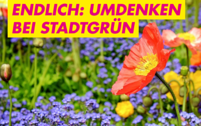 18.03.2025: PM Endlich nachhaltige Bepflanzung auf städtischen Grünflächen