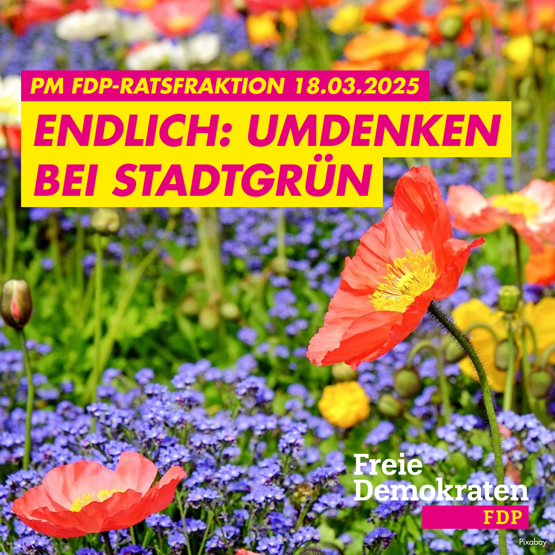 2025-03-18 PM Umdenken bei Stadtgrün