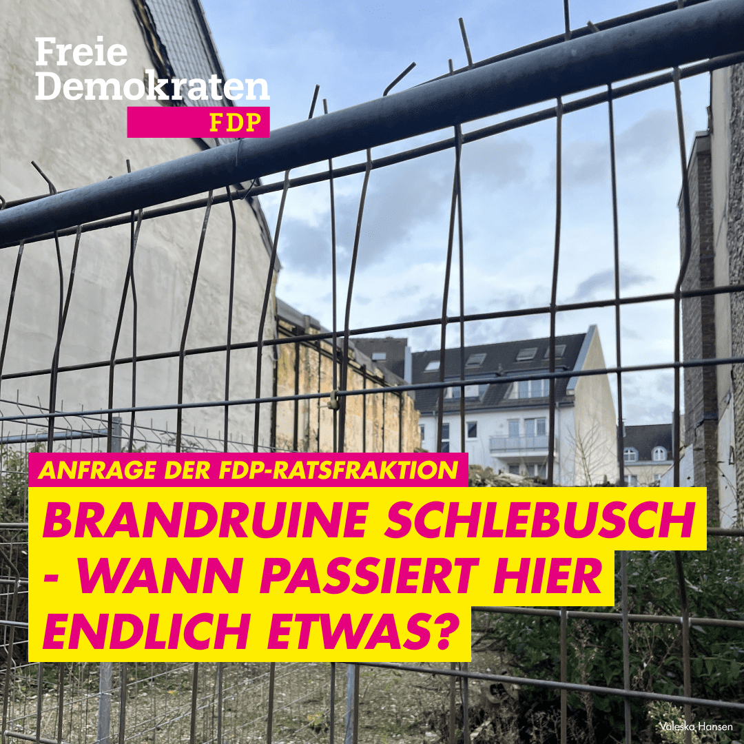 2025-03-21 Brandruine Alt-Schlebusch (1)