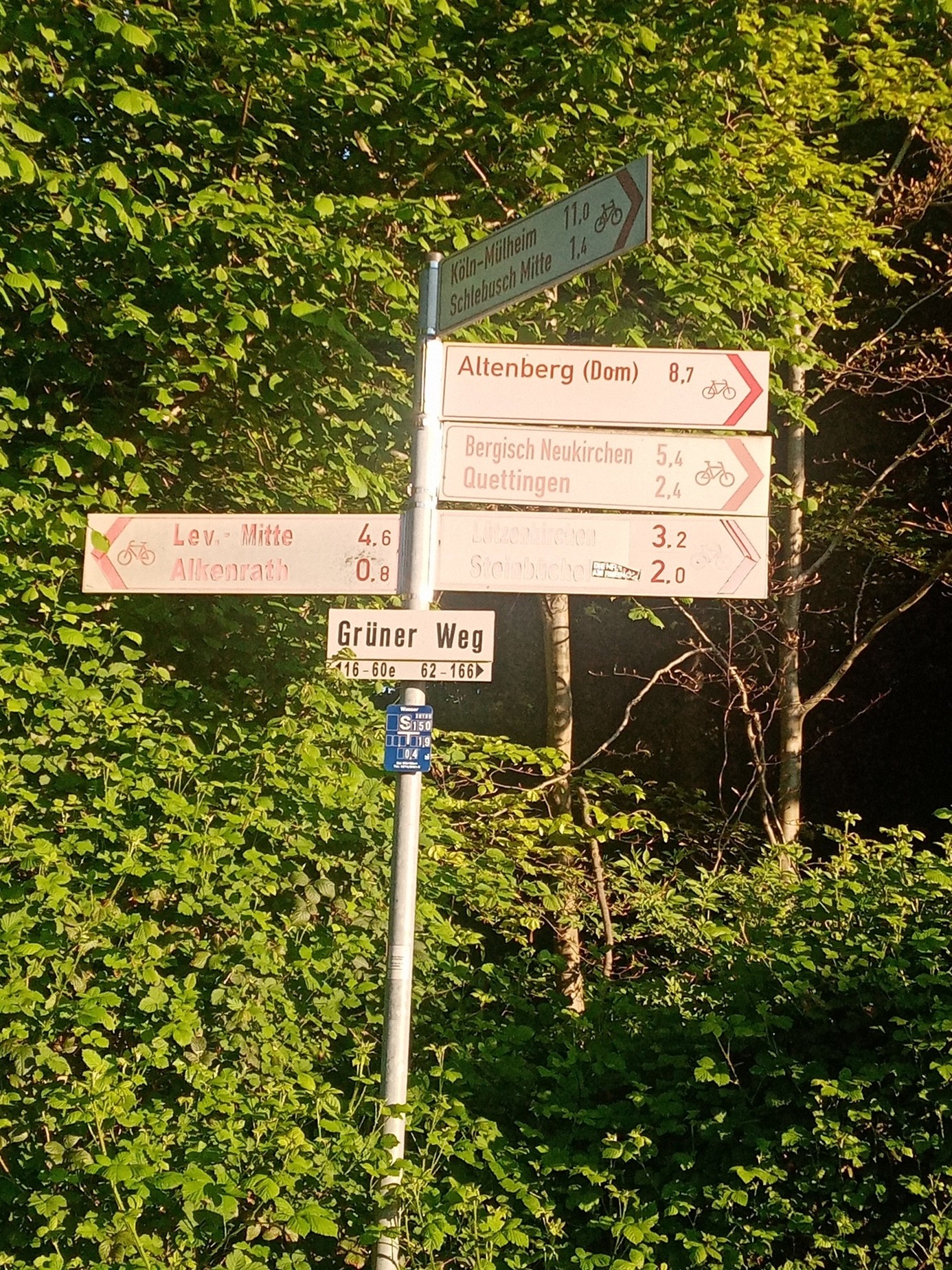 Grüner Weg – Fahrradwege