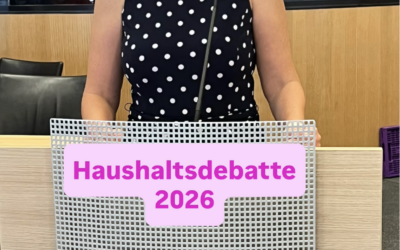 13.07.2026 Haushaltsrede 2026